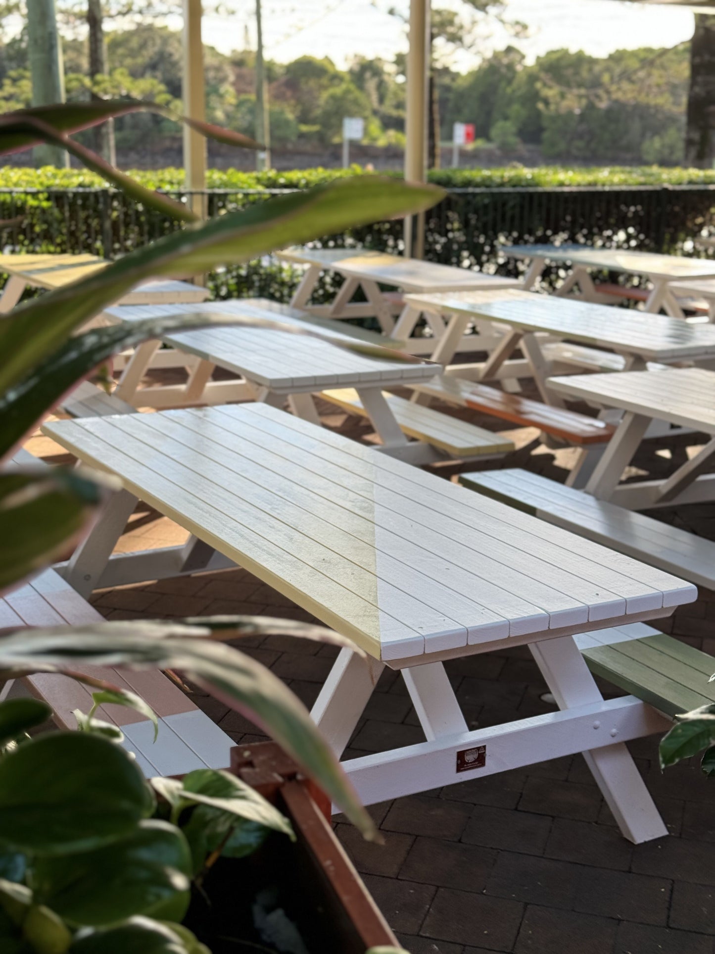 Standard Picnic Tables