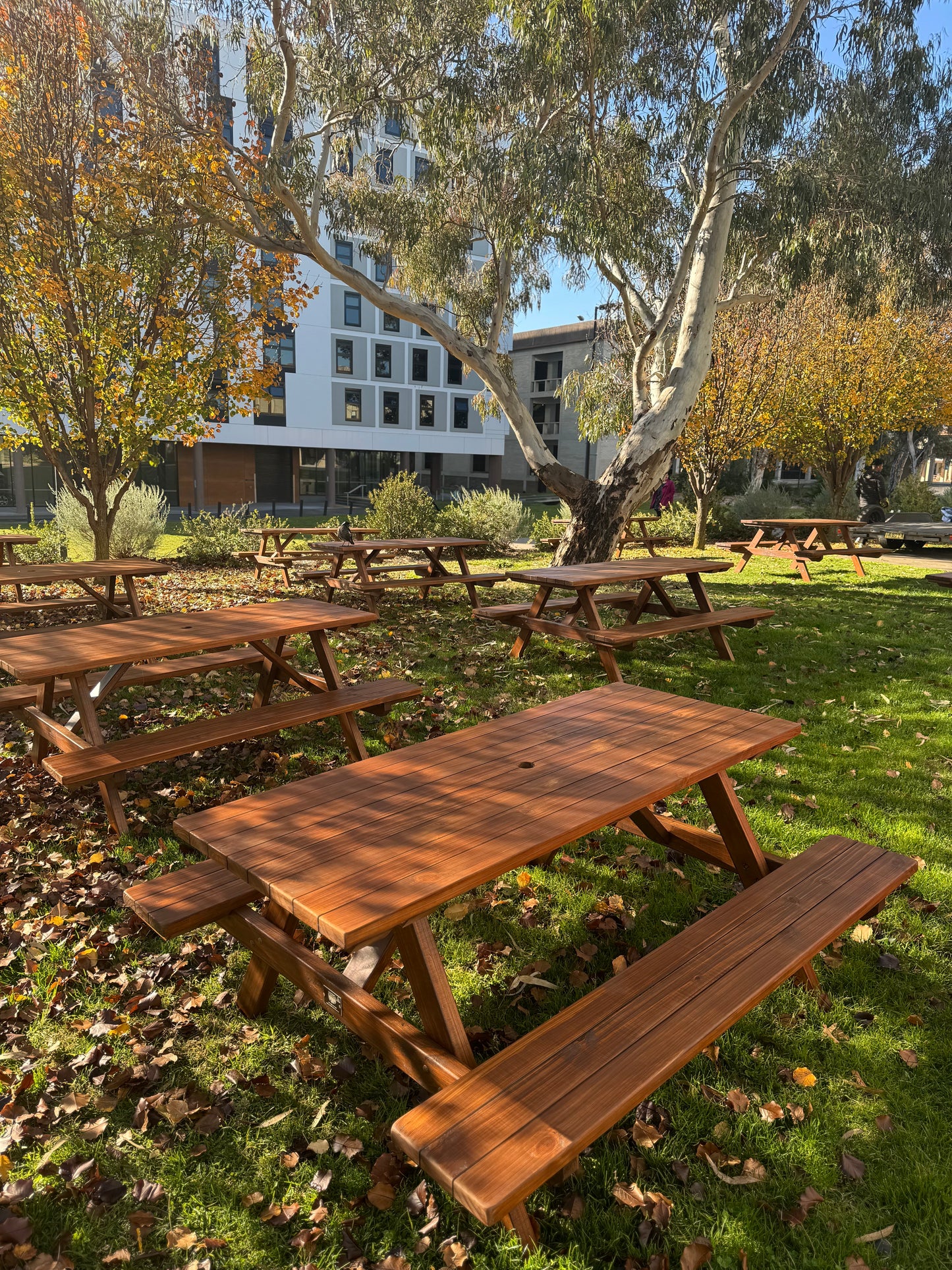 Standard Picnic Tables