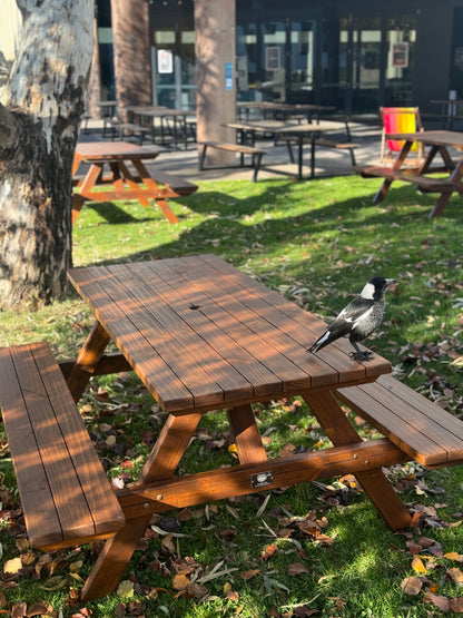 Standard Picnic Tables